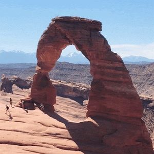 Meet your Posher, Jules